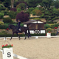 Auf dem Schafhof in Kronberg 2021
