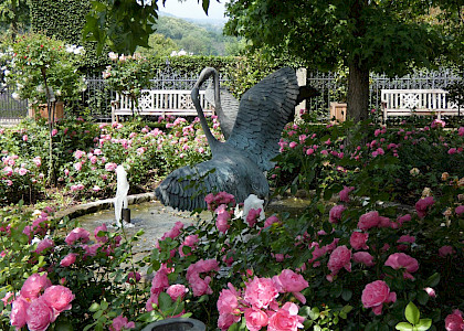 Auf dem Schafhof in Kronberg 2021