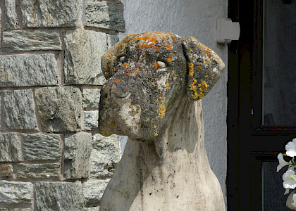 Auf dem Schafhof in Kronberg 2021