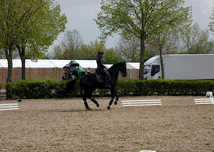CDI4* Mannheim April 2021