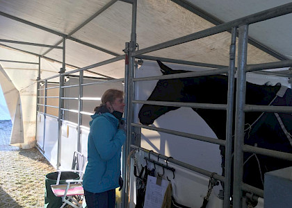 CDI4* Mannheim April 2021