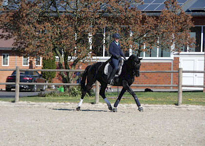 Training in Corona-Zeiten