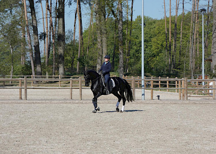 Training in Corona-Zeiten