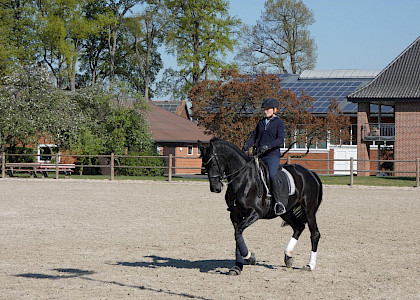 Training in Corona-Zeiten
