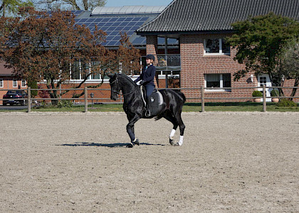 Training in Corona-Zeiten