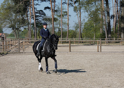 Training in Corona-Zeiten