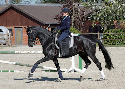 Training in Corona-Zeiten