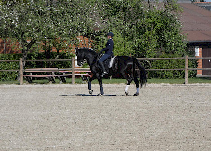 Training in Corona-Zeiten