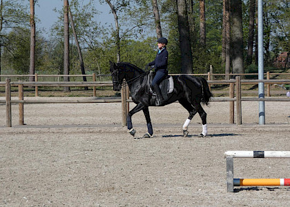 Training in Corona-Zeiten