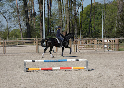 Training in Corona-Zeiten