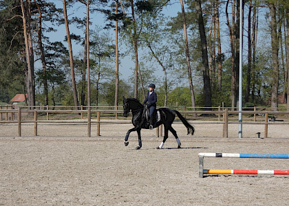 Training in Corona-Zeiten