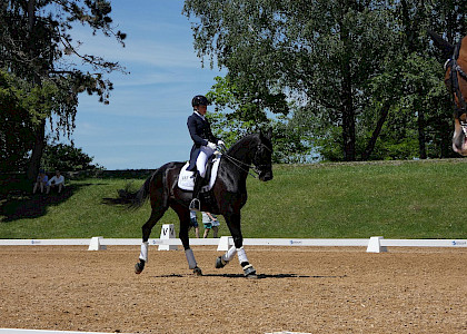 Pferd International M&uuml;nchen 2019