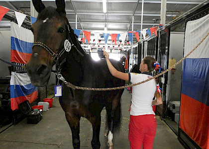 Weltreiterspiele Tryon 2018