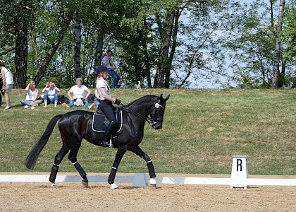Pferd International M&uuml;nchen 2018