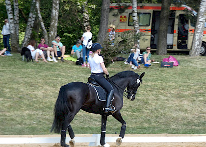 Pferd International M&uuml;nchen 2018