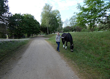 Pferd International M&uuml;nchen 2018