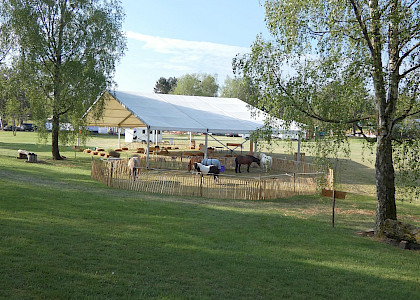 Pferd International M&uuml;nchen 2018