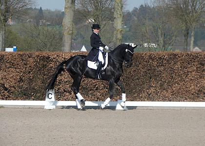 Aachen Dressage Days 2018