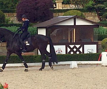 Tatiana and Diavolessa go to Tokyo