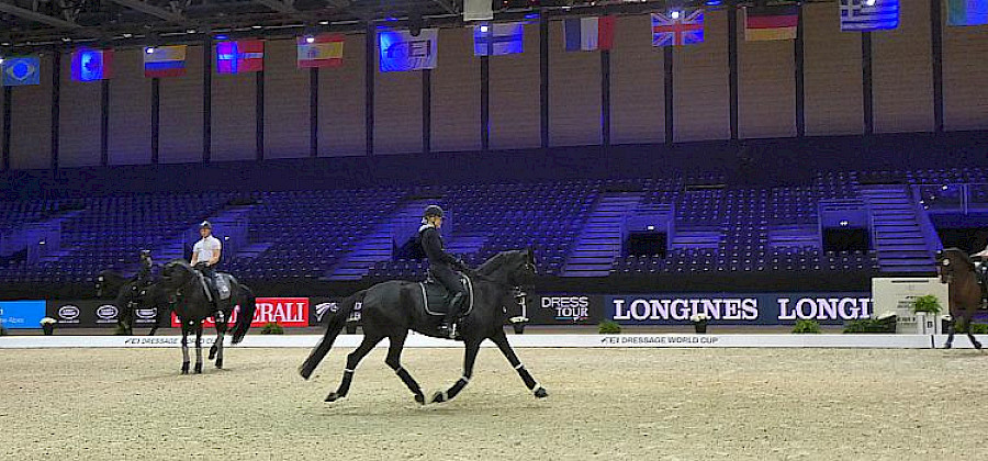 Zum Start in die Hallensaison geht es nach Lyon