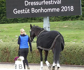 Drei Schleifen in Bonhomme