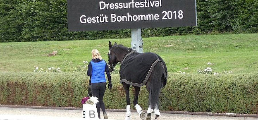 Drei Schleifen in Bonhomme