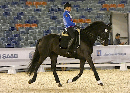 Europameisterschaft G&ouml;teborg 2017